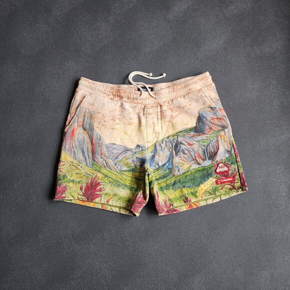 Columbia x KITH Yosemite Alpine Research Division AOP Shorts XL - Picture 8 of 13
